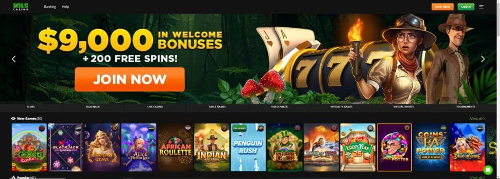 wildcasino front page